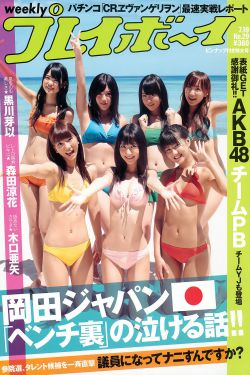 今天高清视频免费播放动漫